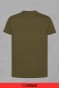 Oliwkowy T-shirt – widok z tyłu-34.jpg