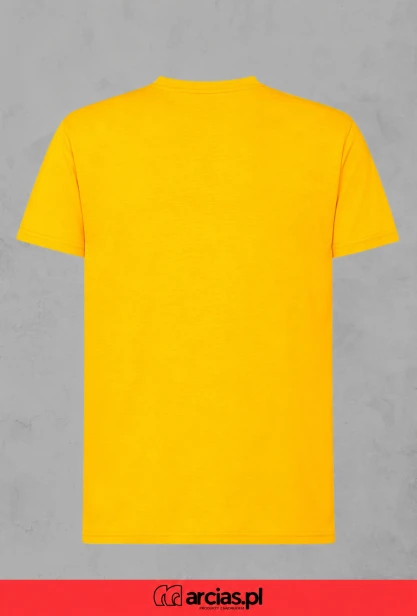 Złoty T-shirt — widok z tyłu-30.jpg